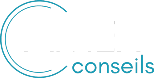 AMEX CONSEILS